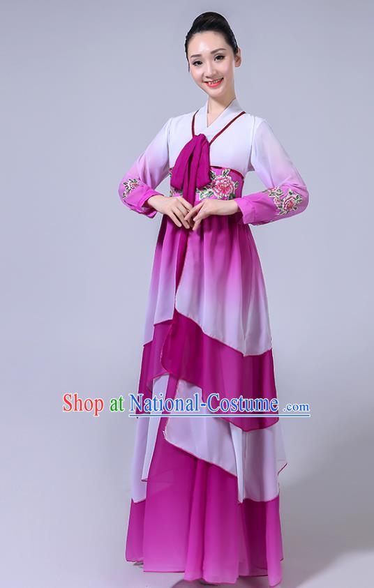 Chinese Ethnic Folk Dance Purple Dress Outfits Traditional Korean Nationality Dance Clothing