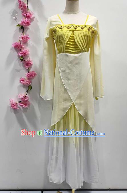 China Classical Dance Clothing Fan Dance Costume Stage Performance Yellow Dress