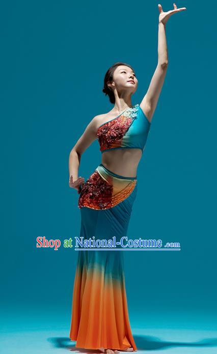 Chinese Traditional Dai Nationality Peacock Dance Dress Yunnan Ethnic Performance Clothing