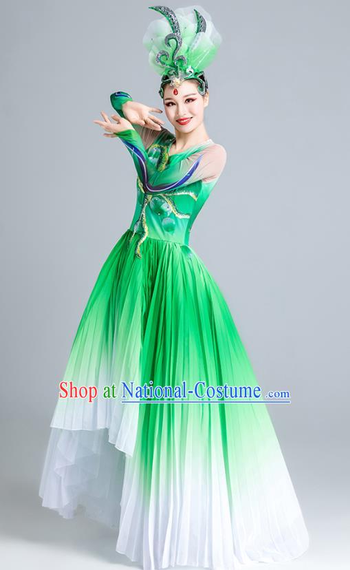 China Modern Dance Clothing Opening Dance Green Dress Flowers Dance Stage Performance Costume