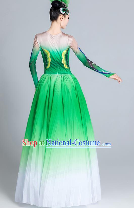 China Modern Dance Clothing Opening Dance Green Dress Flowers Dance Stage Performance Costume