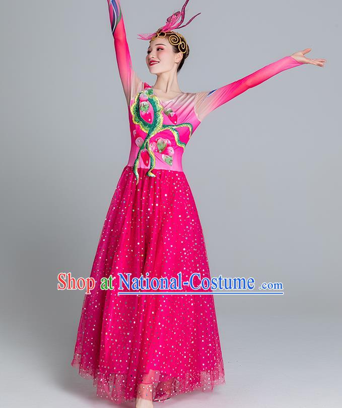 China Classical Dance Clothing Lotus Dance Rosy Dress Group Dance Stage Performance Costume