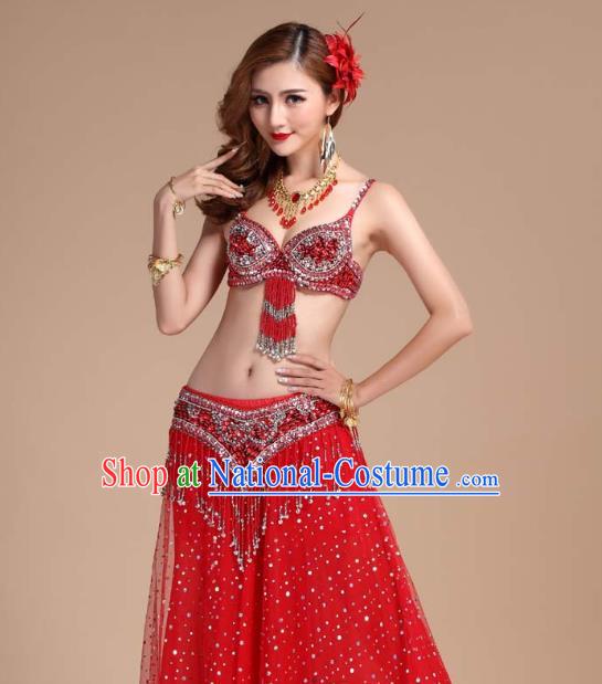 India Belly Dance Performance Clothing Indian Oriental Dance Uniforms Asian Traditional Raks Sharki Red Bra and Skirt