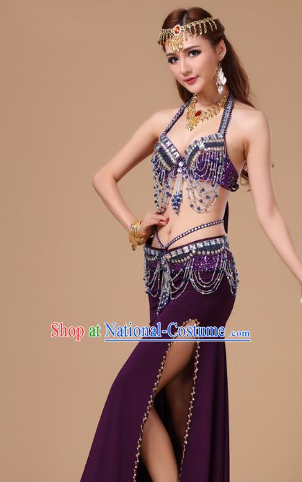 Top Asian Indian Stage Performance Purple Uniforms Belly Dance Clothing Traditional Oriental Dance Bra and Skirt