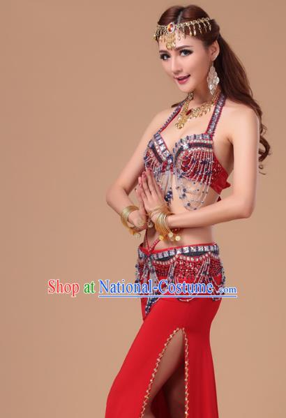 Top Traditional Oriental Dance Bra and Skirt Asian Indian Stage Performance Red Uniforms Belly Dance Clothing