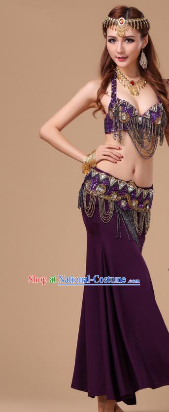 Traditional Raks Sharki Bra and Skirt Top Belly Dance Performance Clothing Asian Indian Oriental Dance Purple Uniforms