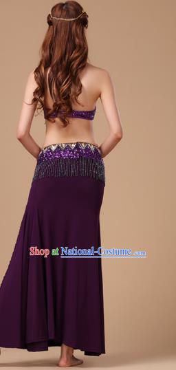 Traditional Raks Sharki Bra and Skirt Top Belly Dance Performance Clothing Asian Indian Oriental Dance Purple Uniforms