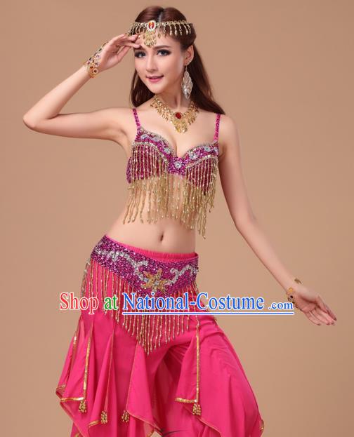 Top Indian Belly Dance Training Rosy Uniforms Asian Oriental Dance Bra and Pants Clothing