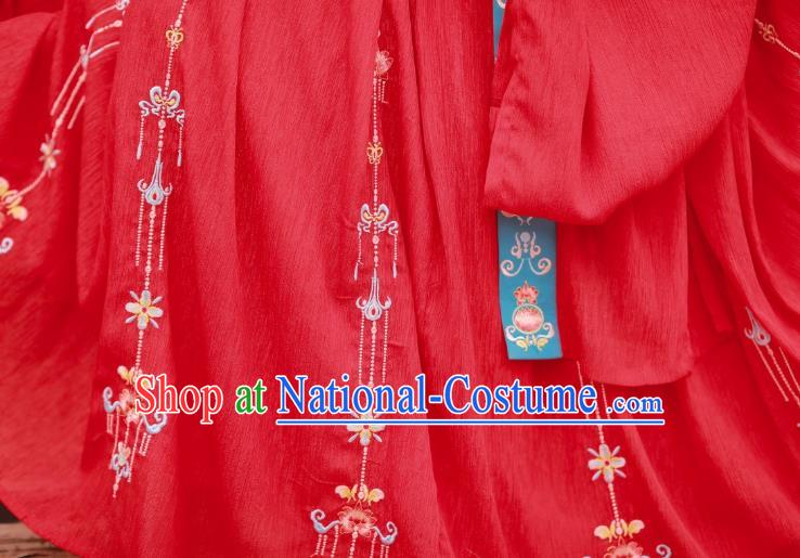 China Traditional Tang Dynasty Wedding Costumes Ancient Princess Red Hanfu Dress Clothing