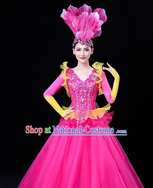 China Modern Dance Flower Dance Clothing Spring Festival Gala Opening Dance Rosy Veil Dress