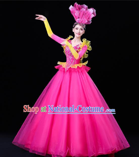 China Modern Dance Flower Dance Clothing Spring Festival Gala Opening Dance Rosy Veil Dress