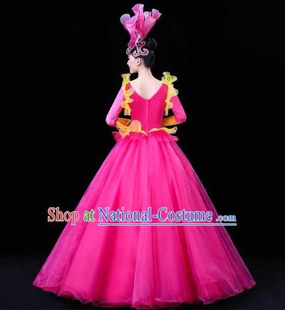 China Modern Dance Flower Dance Clothing Spring Festival Gala Opening Dance Rosy Veil Dress