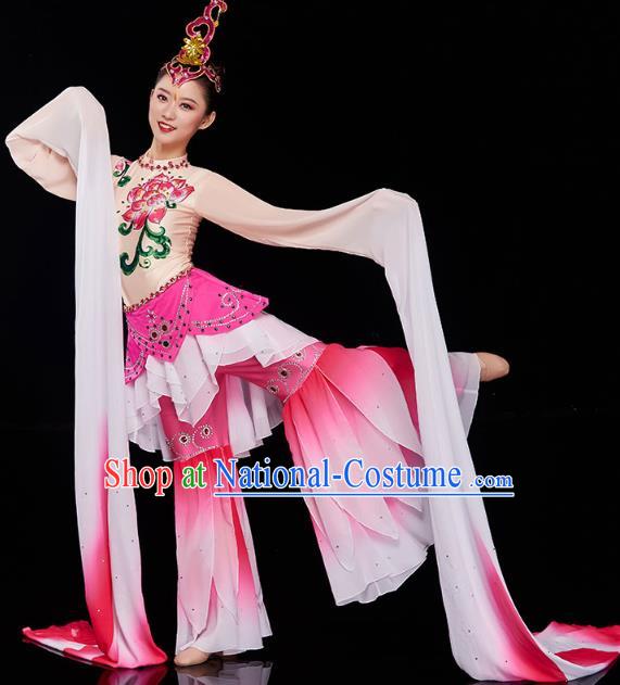 China Court Jing Hong Dance Clothing Classical Dance Dress Traditional Woman Water Sleeve Dance Costume