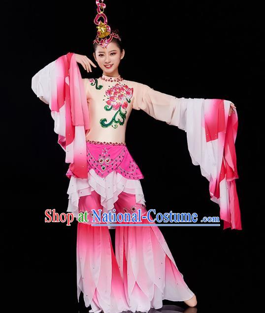 China Court Jing Hong Dance Clothing Classical Dance Dress Traditional Woman Water Sleeve Dance Costume