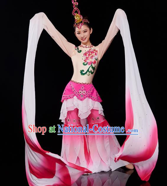 China Court Jing Hong Dance Clothing Classical Dance Dress Traditional Woman Water Sleeve Dance Costume