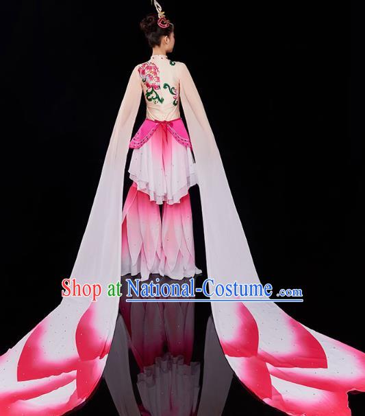 China Court Jing Hong Dance Clothing Classical Dance Dress Traditional Woman Water Sleeve Dance Costume