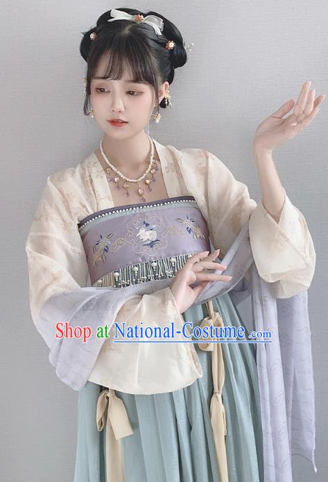 China Ancient Palace Lady Hanfu Dress Garment Traditional Tang Dynasty Princess Historical Clothing Full Set