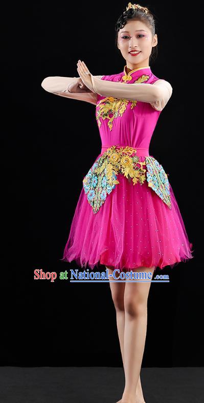 China Modern Dance Clothing Jazz Dance Rosy Dress Spring Festival Gala Performance Outfits