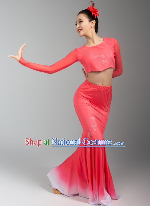 China Yunnan Ethnic Folk Dance Pink Blouse Skirt Outfits Traditional Dai Nationality Peacock Dance Clothing