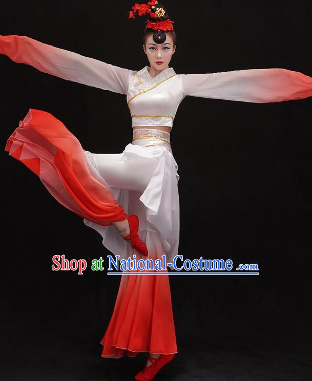 Chinese Umbrella Dance Outfits Classical Dance Performance Clothing Traditional Water Sleeve Cai Wei Dance Dress