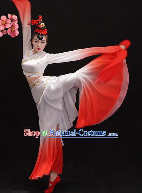 Chinese Umbrella Dance Outfits Classical Dance Performance Clothing Traditional Water Sleeve Cai Wei Dance Dress