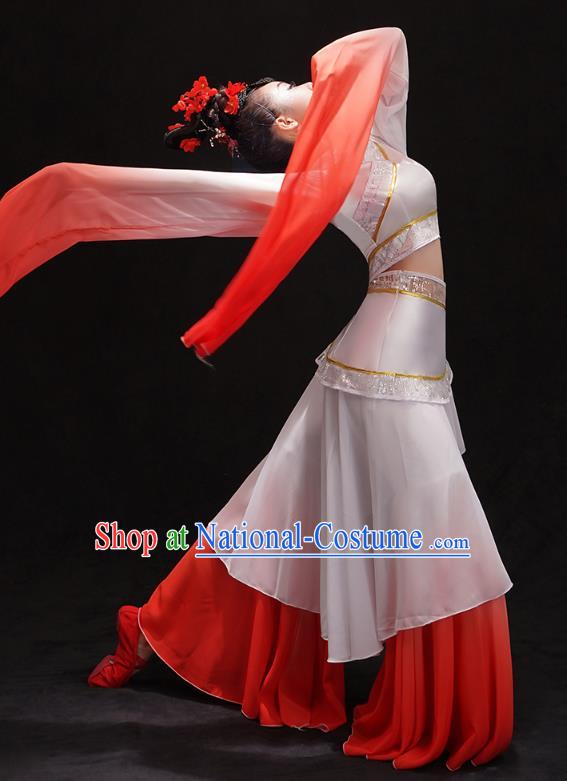 Chinese Umbrella Dance Outfits Classical Dance Performance Clothing Traditional Water Sleeve Cai Wei Dance Dress