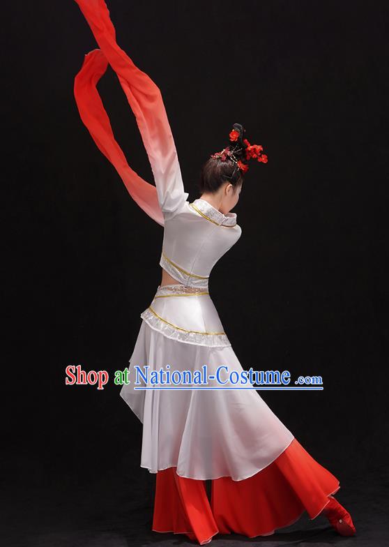 Chinese Umbrella Dance Outfits Classical Dance Performance Clothing Traditional Water Sleeve Cai Wei Dance Dress