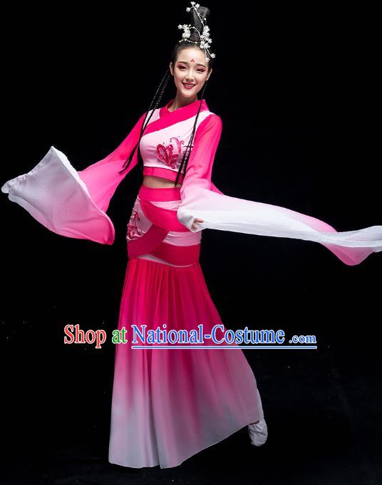 Chinese Classical Dance Fairy Clothing Water Sleeve Dance Performance Dress Traditional Court Beauty Dance Rosy Outfits