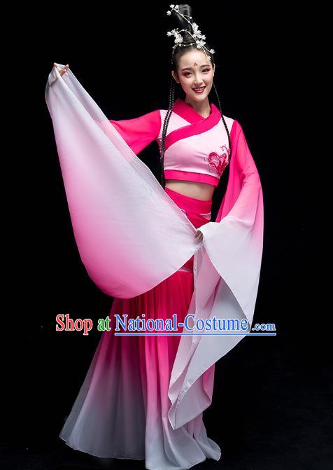 Chinese Classical Dance Fairy Clothing Water Sleeve Dance Performance Dress Traditional Court Beauty Dance Rosy Outfits