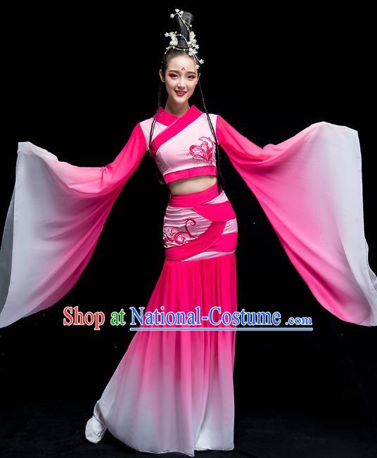 Chinese Classical Dance Fairy Clothing Water Sleeve Dance Performance Dress Traditional Court Beauty Dance Rosy Outfits