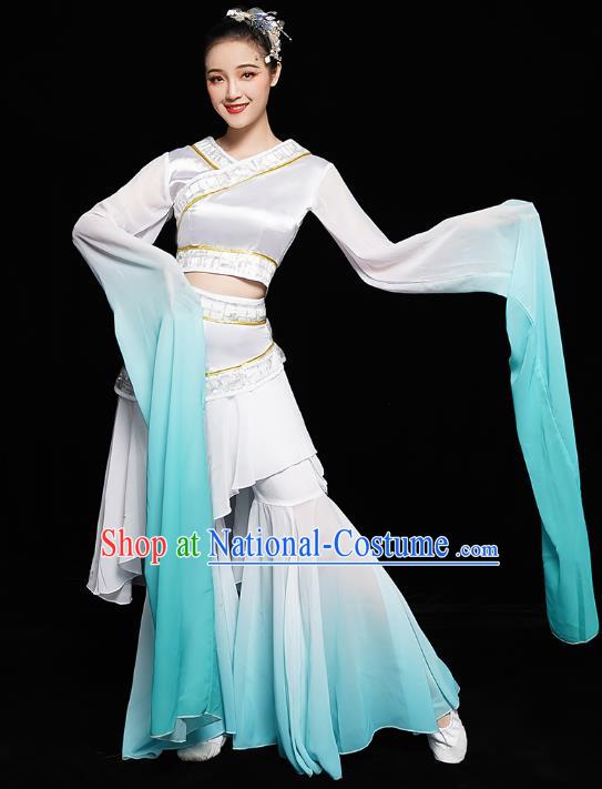 Chinese Classical Dance Performance Clothing Water Sleeve Dress Traditional Court Dance Costumes