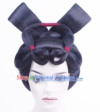 China Traditional Tang Dynasty Court Lady Performance Wigs Chignon Classical Dance Hair Accessories