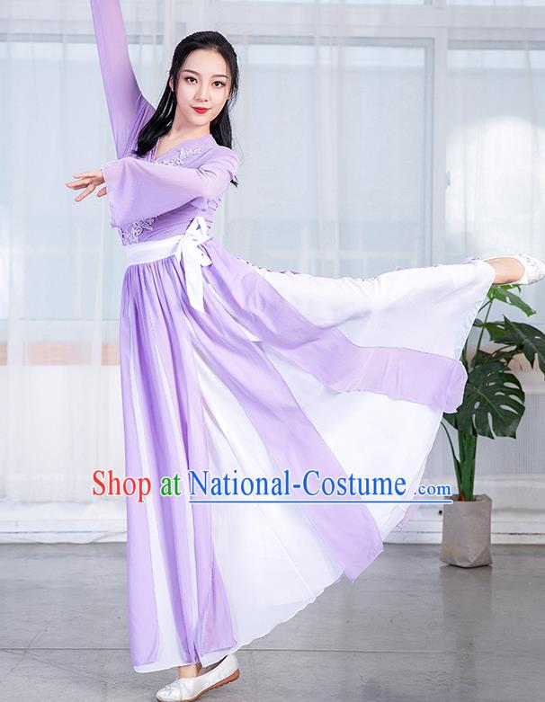 China Stage Performance Fashion Umbrella Dance Training Clothing Classical Dance Lilac Chiffon Dress