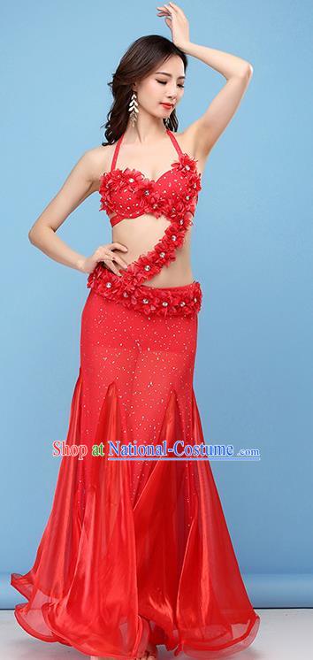 Professional Belly Dance Stage Performance Costume Indian Raks Sharki Bra and Skirt Asian Oriental Dance Uniforms