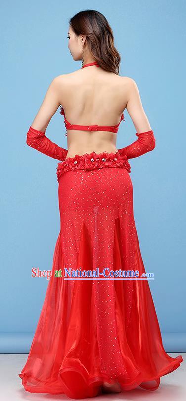 Professional Belly Dance Stage Performance Costume Indian Raks Sharki Bra and Skirt Asian Oriental Dance Uniforms