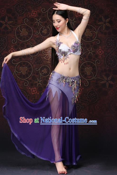 Asian Raks Sharki Performance Purple Uniforms Indian Belly Dance Costumes Oriental Dance Bra and Skirt