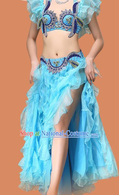 Asian Oriental Dance Blue Uniforms Indian Dance Sexy Clothing Belly Dance Performance Bra and Skirt