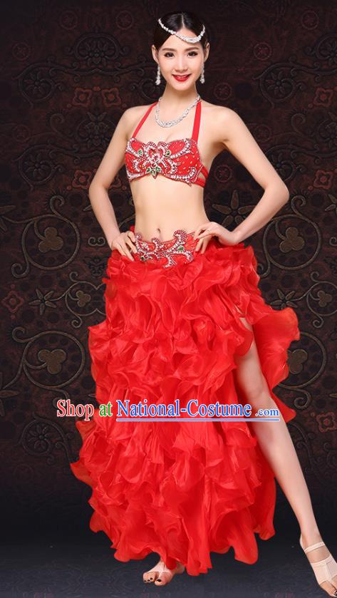 Indian Oriental Dance Clothing Belly Dance Red Dress Asian Raks Sharki Bra and Skirt