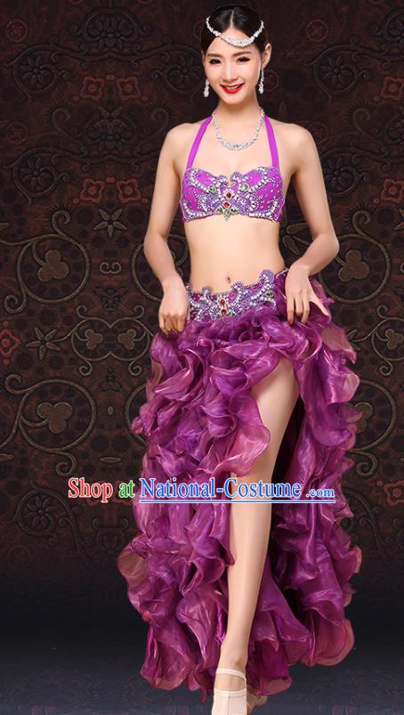 Asian Raks Sharki Bra and Skirt Indian Oriental Dance Clothing Belly Dance Purple Dress