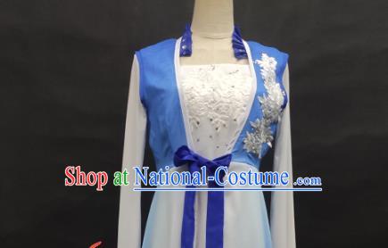 Top Chinese Classical Dance Blue Dress Woman Solo Dance Garment Costume Traditional Umbrella Dance Clothing