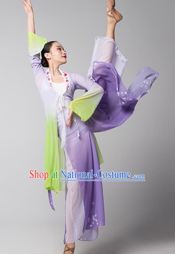 Top Chinese Traditional Stage Performance Clothing Classical Dance Lilac Dress Woman Group Fan Dance Garment Costume