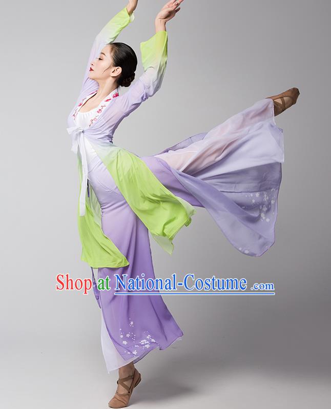 Top Chinese Traditional Stage Performance Clothing Classical Dance Lilac Dress Woman Group Fan Dance Garment Costume