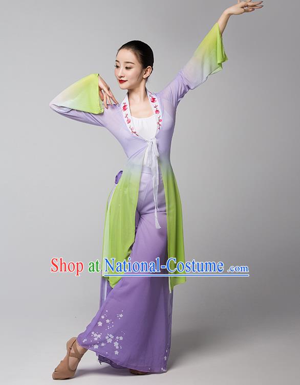 Top Chinese Traditional Stage Performance Clothing Classical Dance Lilac Dress Woman Group Fan Dance Garment Costume