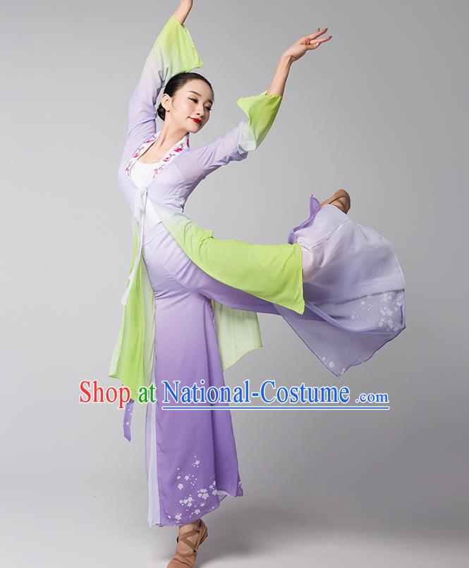 Top Chinese Traditional Stage Performance Clothing Classical Dance Lilac Dress Woman Group Fan Dance Garment Costume