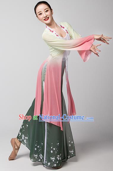 Top Chinese Classical Dance Dress Woman Group Fan Dance Garment Costume Traditional Stage Performance Clothing