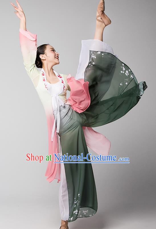 Top Chinese Classical Dance Dress Woman Group Fan Dance Garment Costume Traditional Stage Performance Clothing