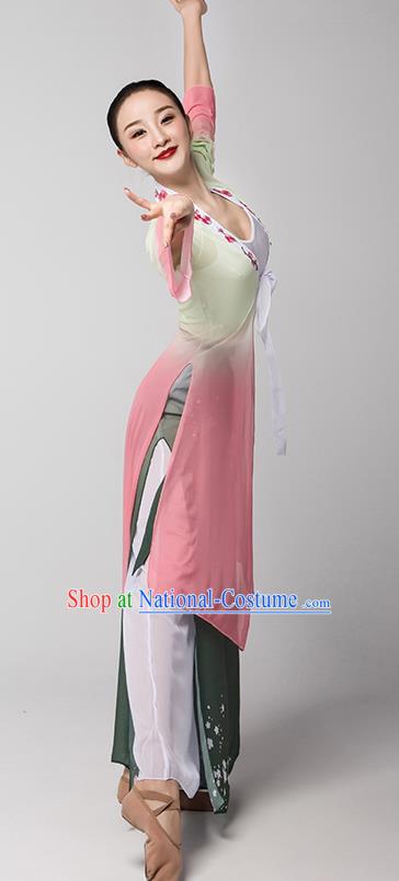 Top Chinese Classical Dance Dress Woman Group Fan Dance Garment Costume Traditional Stage Performance Clothing