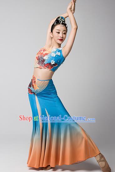 China Yunnan Ethnic Stage Performance Garments Peacock Dance Blue Dress Dai Nationality Folk Dance Clothing