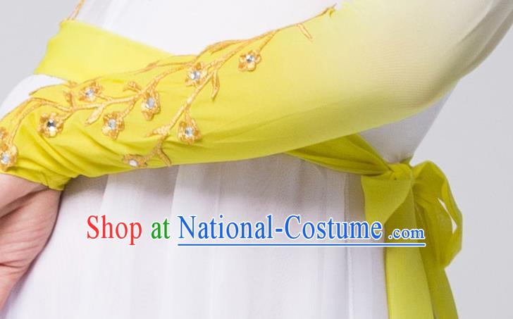 Top Chinese Woman Opening Dance Garment Costume Traditional Umbrella Dance Performance Clothing Classical Dance Yellow Dress