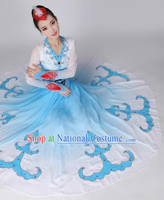 Top Chinese Woman Swan Dance Garment Costume Traditional Dance Performance Clothing Classical Dance Blue Dress Outfits